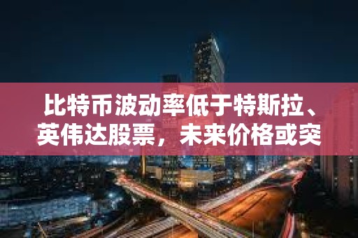 比特幣波動率低于特斯拉、英偉達股票，未來價格或突破10萬美元