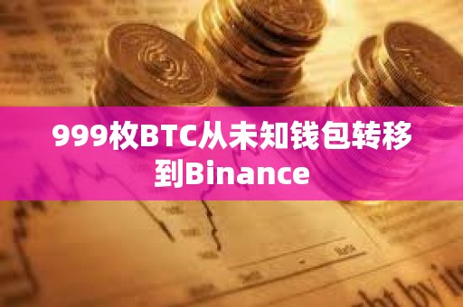 999枚BTC從未知錢包轉移到Binance