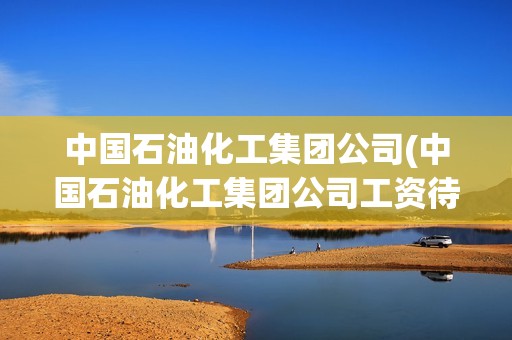 中國石油化工集團公司(中國石油化工集團公司工資待遇)