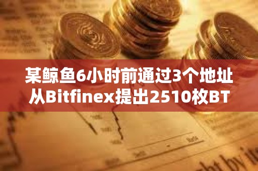 某鯨魚6小時前通過3個地址從Bitfinex提出2510枚BTC