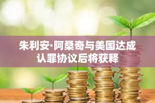 朱利安·阿桑奇與美國(guó)達(dá)成認(rèn)罪協(xié)議后將獲釋