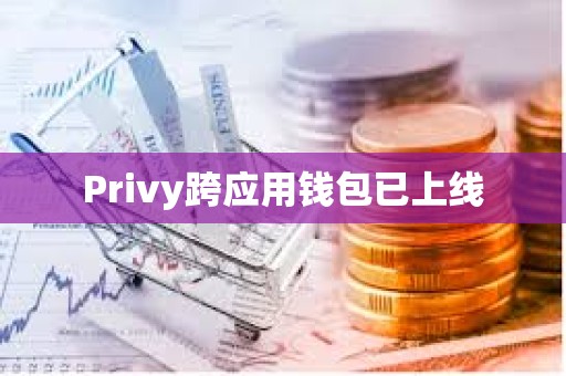 Privy跨應用錢包已上線
