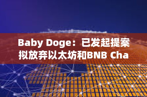 Baby Doge：已發起提案擬放棄以太坊和BNB Chain上的代幣合約
