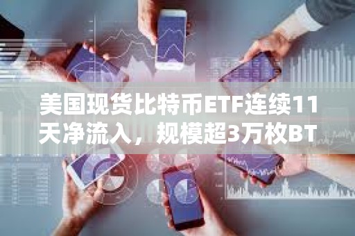美國(guó)現(xiàn)貨比特幣ETF連續(xù)11天凈流入，規(guī)模超3萬(wàn)枚BTC