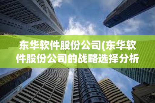 東華軟件股份公司(東華軟件股份公司的戰略選擇分析) 東華軟件股份公司(東華軟件股份公司的戰略選擇分析)