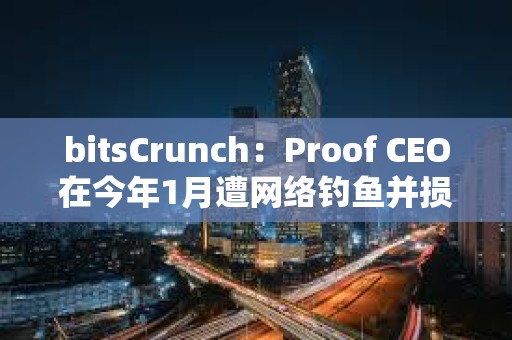 bitsCrunch：Proof CEO在今年1月遭網絡釣魚并損失了價值110萬美元的NFT