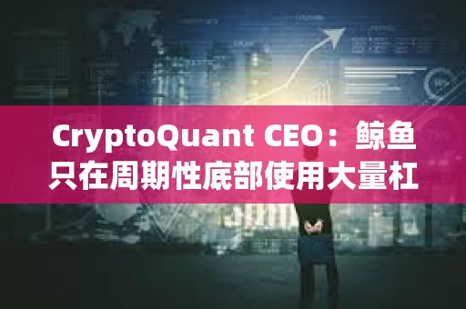 CryptoQuant CEO：鯨魚只在周期性底部使用大量杠桿，當前市場并未過度杠桿化