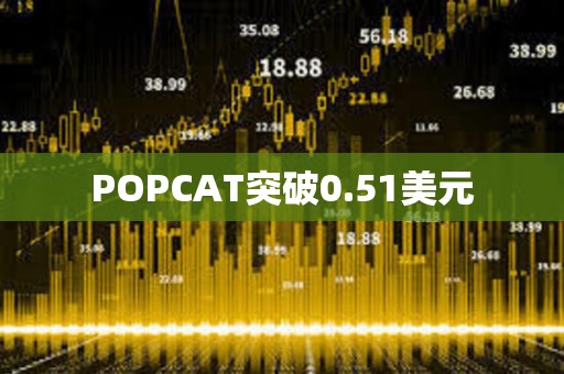 POPCAT突破0.51美元