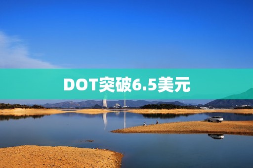 DOT突破6.5美元
