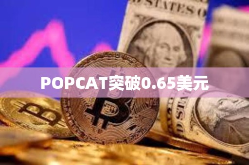 POPCAT突破0.65美元