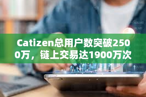 Catizen總用戶數突破2500萬，鏈上交易達1900萬次