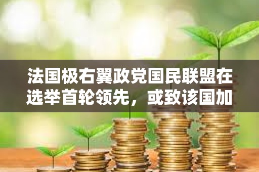 法國極右翼政黨國民聯盟在選舉首輪領先，或致該國加密貨幣政策制定困難