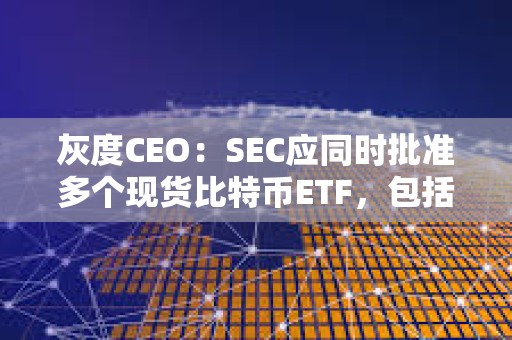 灰度CEO：SEC應(yīng)同時批準(zhǔn)多個現(xiàn)貨比特幣ETF，包括批準(zhǔn)GBTC轉(zhuǎn)換
