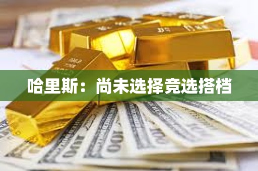 哈里斯：尚未選擇競選搭檔