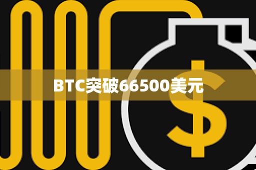 BTC突破66500美元
