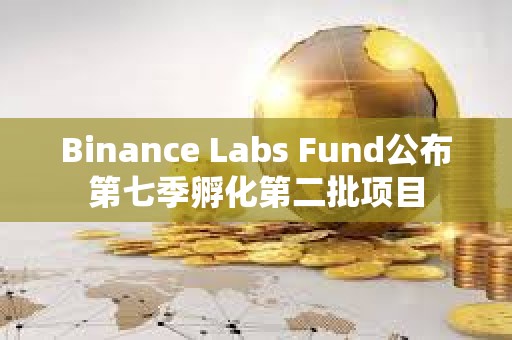 Binance Labs Fund公布第七季孵化第二批項(xiàng)目