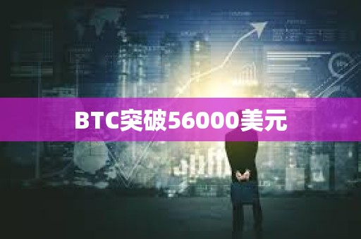 BTC突破56000美元