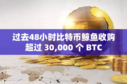 過去48小時比特幣鯨魚收購超過 30,000 個 BTC