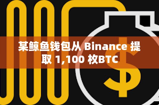 某鯨魚錢包從 Binance 提取 1,100 枚BTC