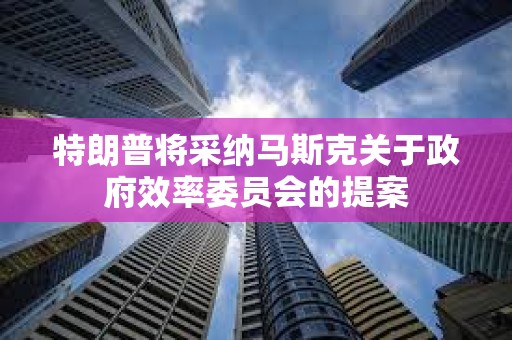 特朗普將采納馬斯克關(guān)于政府效率委員會的提案