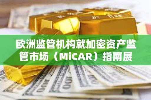 歐洲監管機構就加密資產監管市場（MiCAR）指南展開磋商