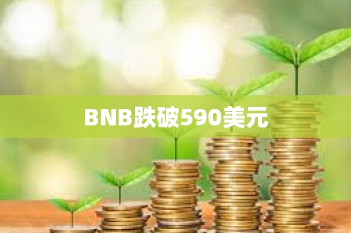 BNB跌破590美元
