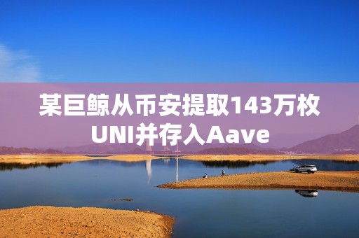 某巨鯨從幣安提取143萬枚UNI并存入Aave