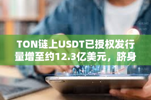 TON鏈上USDT已授權發行量增至約12.3億美元，躋身前五