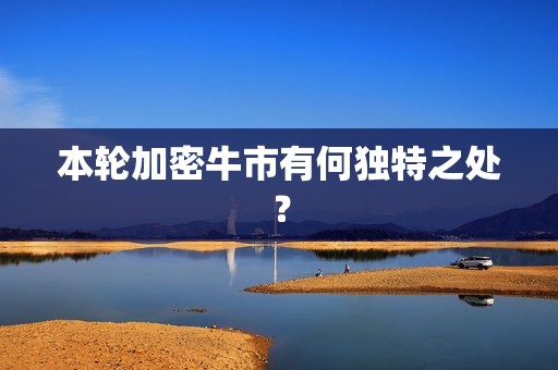 本輪加密牛市有何獨特之處？