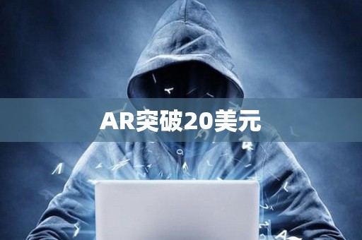 AR突破20美元