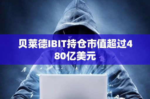 貝萊德IBIT持倉市值超過480億美元