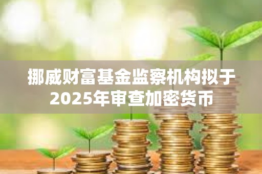 挪威財富基金監(jiān)察機構(gòu)擬于2025年審查加密貨幣