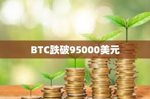 BTC跌破95000美元