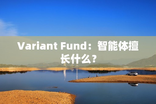 Variant Fund：智能體擅長什么？