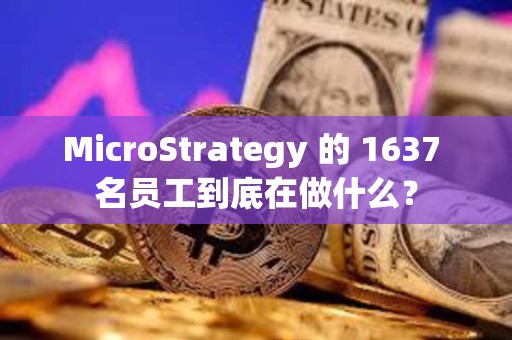 MicroStrategy 的 1637 名員工到底在做什么？