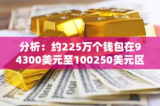 分析：約225萬個錢包在94300美元至100250美元區間買入218萬枚BTC