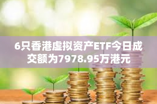 6只香港虛擬資產(chǎn)ETF今日成交額為7978.95萬港元
