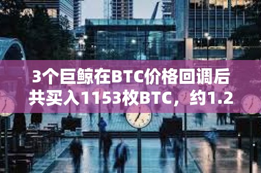 3個巨鯨在BTC價格回調(diào)后共買入1153枚BTC，約1.2億美元