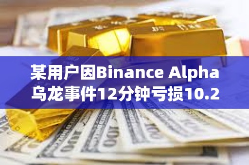 某用戶因Binance Alpha烏龍事件12分鐘虧損10.2萬美元