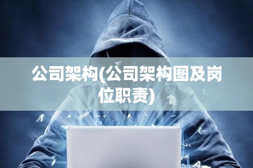 公司架構(gòu)(公司架構(gòu)圖及崗位職責(zé))