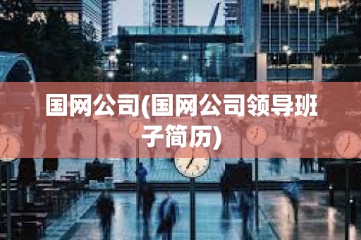 國網公司(國網公司領導班子簡歷) 國網公司(國網公司領導班子簡歷)