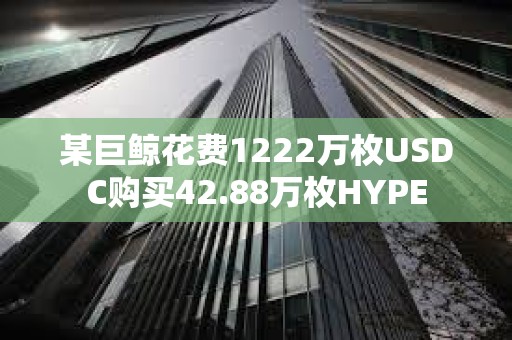某巨鯨花費1222萬枚USDC購買42.88萬枚HYPE