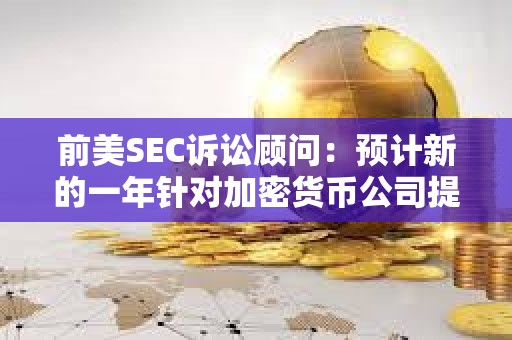 前美SEC訴訟顧問：預計新的一年針對加密貨幣公司提起的案件將會減少