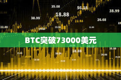 BTC突破73000美元