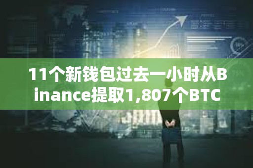 11個新錢包過去一小時從Binance提取1,807個BTC