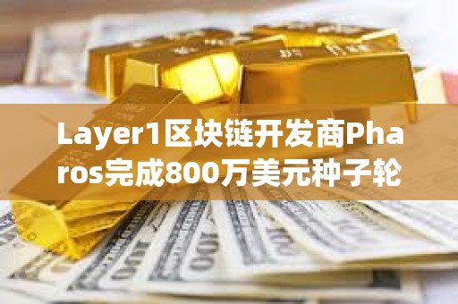 Layer1區塊鏈開發商Pharos完成800萬美元種子輪融資