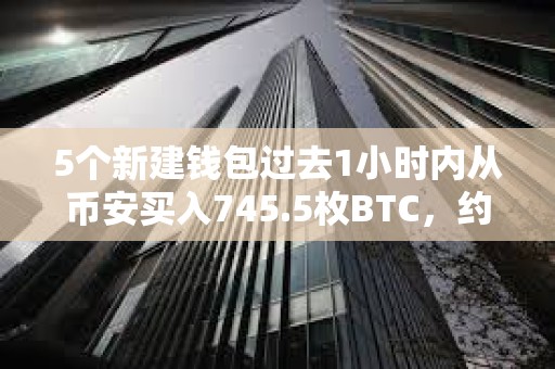 5個新建錢包過去1小時內從幣安買入745.5枚BTC，約合5900萬美元