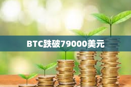 BTC跌破79000美元