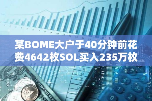 某BOME大戶于40分鐘前花費4642枚SOL買入235萬枚SLERF