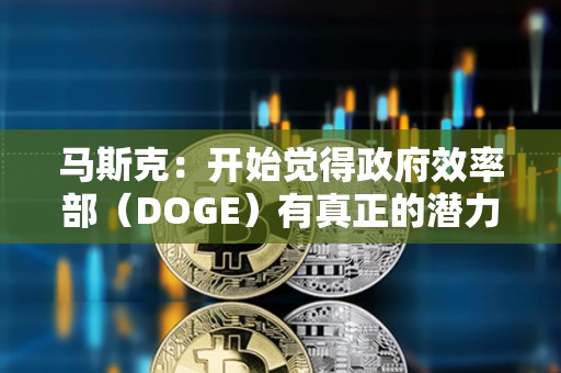馬斯克：開始覺得政府效率部（DOGE）有真正的潛力